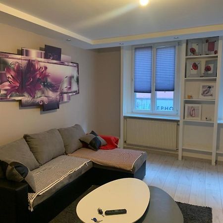 Etoile Apartment Colmar Bagian luar foto