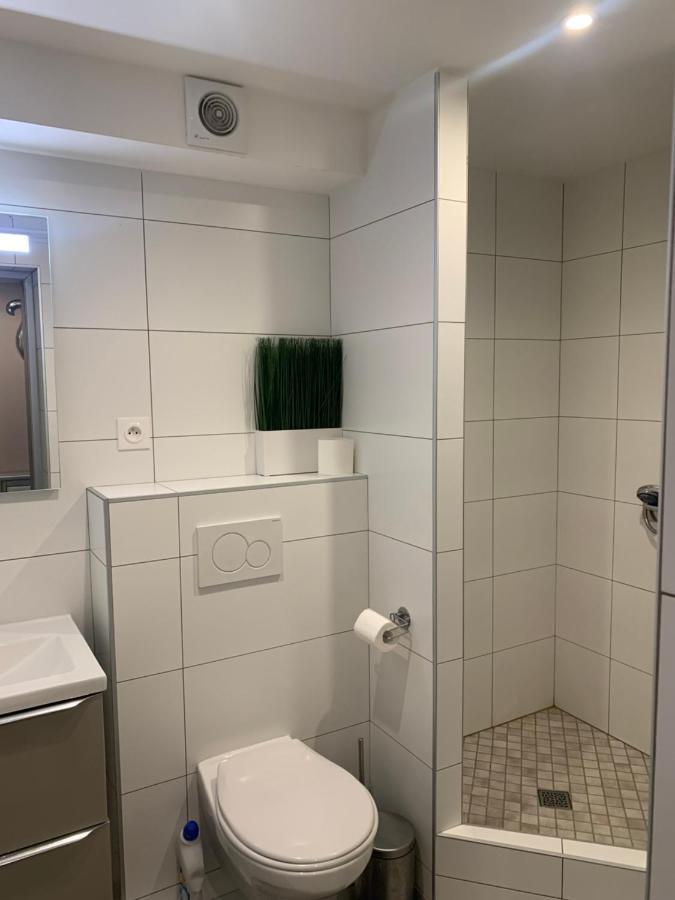 Etoile Apartment Colmar Bagian luar foto