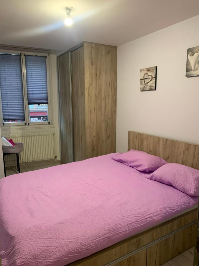Etoile Apartment Colmar Bagian luar foto