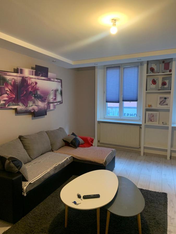 Etoile Apartment Colmar Bagian luar foto